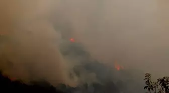 Suriye'de Orman Yangını Altıncı Gününde Devam Ediyor