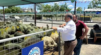 Talas'ta Kurbanlık Hayvan Satışı İçin Başvurular Başladı