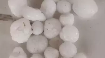 Tokat'ın Almus İlçesinde Dolu Yağışı Hayatı Olumsuz Etkiledi