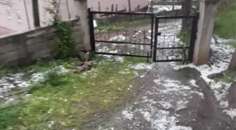 Niksar'da Sel Felaketi: 35 Koyun Telef Oldu