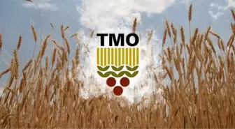 Toprak Mahsulleri Ofisi'nde (TMO) buğday ve arpa alımı ne zaman? Serbest piyasada son durum ne?