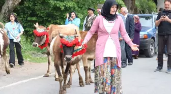 Trabzon'da Bahar, Göç, Kültür ve Sanat Festivali Düzenlendi