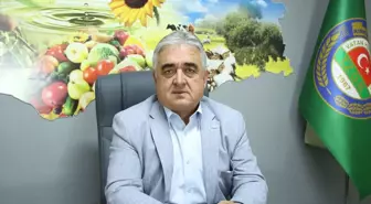 Trakya'da Ayçiçeği Üretimi Gelişiyor