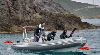 Zıpkınla Balık Avı Türkiye Şampiyonası Didim'de Yapılacak