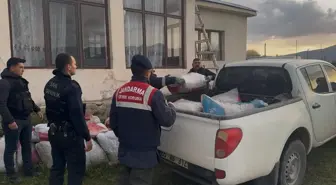 Van'da Kaçak İci Kefali Avına Ceza Yağdı
