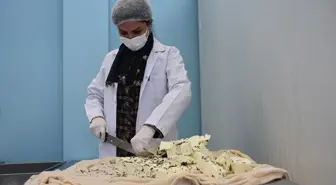 Van'da Kadın Kooperatifinden Yılın İlk Peynir Üretimi