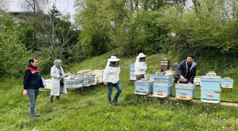 Yığılca'da Hayvan Genetik Kaynaklarının Korunması Projesi Başlatıldı