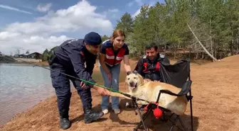 Yozgat'ta 13 Yıl Görev Yapan İz Takip Köpeği Dost Emekli Oldu