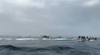 Zıpkınla Balık Avı Kulüpler Arası Türkiye Şampiyonası Tamamlandı