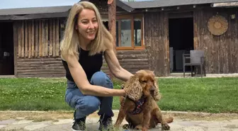 3 aydır kayıp köpeği Çilek'i ağaca bağlı halde buldu
