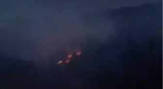 Adana'da Orman Yangınları Kontrol Altına Alındı