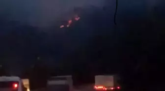 Adana'da İki Noktada Çıkan Orman Yangınları Kontrol Altına Alındı