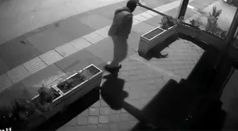 Ankara'da Kediyi Çalan Hırsız Güvenlik Kamerasında