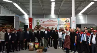 Aydın'da Tarım Arazilerinin Kullanımını Artıran Proje ile Fide ve Tohum Dağıtımı Yapıldı