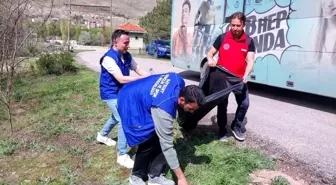Bayburt'ta 'Orman Benim' Kampanyası Çerçevesinde Çevre Temizliği Etkinliği Düzenlendi