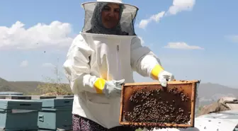 Lenf Kanseriyle Mücadele Eden Şerife Annenin Arıcılık Serüveni