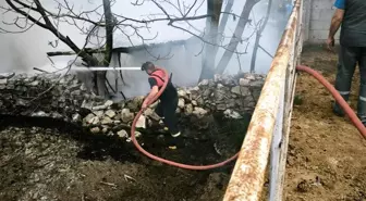 Domaniç'te Yangın: 100 Tavuk Telef Oldu