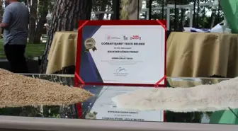 Gönen Baldo Pirinci Coğrafi İşaret Aldı