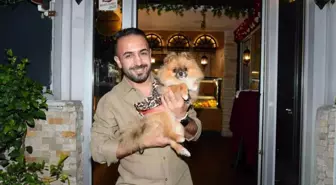 Güzellik Yarışması Birincisi Köpek Kayboldu