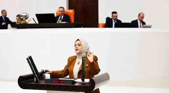 Denizli Milletvekili Sema Silkin Ün'den 2024 Bütçesi Eleştirisi