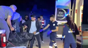 Adıyaman'da Pancara Giderken Düşen Kadın Hayatını Kaybetti