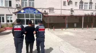 Aydın'da Aranan İki Şahıs Jandarma Ekipleri Tarafından Yakalandı