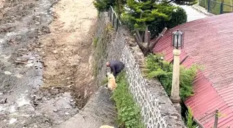 Bursa'da Mahsur Kalan Kangal Köpekler Sahibinin Cesaretiyle Kurtarıldı