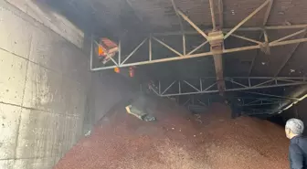 Sakarya'da Fındık Fabrikasında Yangın Kontrol Altına Alındı
