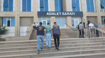 Van'da Hırsızlık Zanlılarına Operasyon