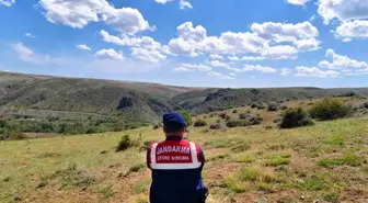 Yozgat'ta Biyokaçakçılık Denetimi ve Doğa Koruma Çalışmaları