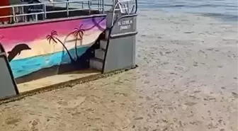 Gemlik Körfezi'nde Müsilaj Tehlikesi: Turistlerin ve Esnafın Endişesi