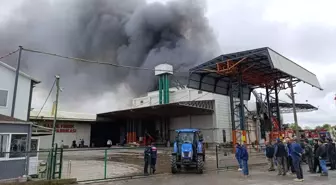 Sakarya'da Fındık Kırım Fabrikasında Yangın Çıktı