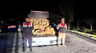 Van Gölü'nde Kaçak İnci Kefali Operasyonu: 3 Ton Balık Ele Geçirildi
