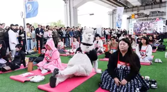 Seul'de Hiçbir Şey Yapmama Yarışması Düzenlendi