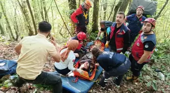 Sapanca'da UTV Arazi Aracı Şarampole Devrildi: Çift Yaralandı