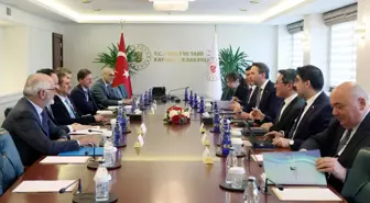 Bakan Bayraktar, IRENA ve AB Yetkilileri ile Yenilenebilir Enerji Görüşmeleri Yaptı
