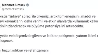 Bakan Şimşek'ten PKK'nın Silah Bırakma Kararına İlişkin Açıklama