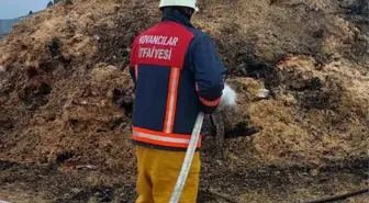 Elazığ'da Samanlıkta Yangın Kontrol Altına Alındı