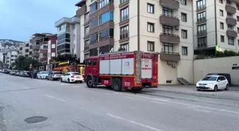 Kestel'de Yavru Kedi Motor Bölümünden Kurtarıldı
