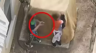 Polis, ellerindeki tabancaları bırakmayan 7 ve 9 yaşındaki iki kardeşe ateş açtı