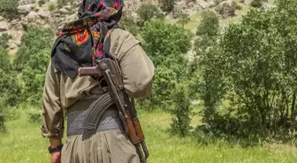 Terör örgütü silahları nasıl bırakacak? BM gözetiminde bu 3 vilayette teslim edilecek