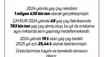 2025 Yaş Çay Alım Fiyatı 25,44 Lira Olarak Belirlendi