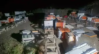 Bilecik'te Arıcılık Kulübesinde Yangın: 35 Arı Kovanı Zarar Gördü