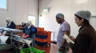 Beyşehir Gölü'nde Su Ürünleri Tesislerine Denetim