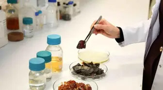 Bursa Teknik Üniversitesi'nden Çevre Dostu Ambalaj Projesi