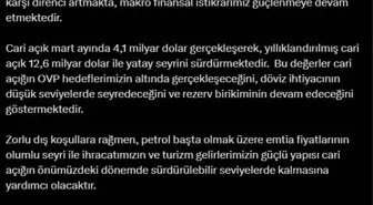 Cari Açık Sürdürülebilir Seviyelerde Seyrediyor
