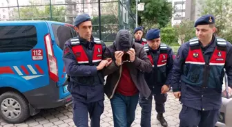 Samsun'da Uyuşturucu Tarlası: 5. Katta Kenevir Yetiştirdi