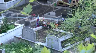 Ahmet Minguzzi Cinayeti Sonrası 5 Şüpheliye İddianame