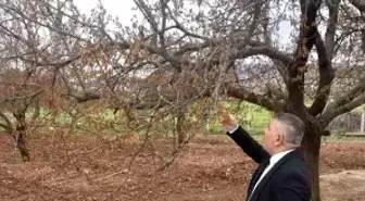Malatya'daki Zirai Donun Ardından Destek Çağrısı