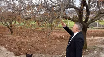 Malatya'daki Zirai Donun Ardından Destek Çağrısı
